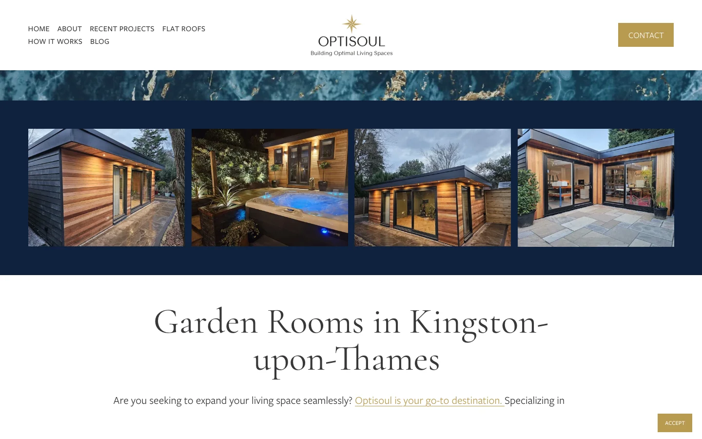 Optisoul — Kingston offering